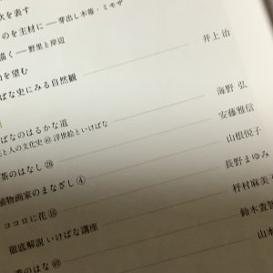 画像5: 《函ノ森文庫》（新番号付）セット